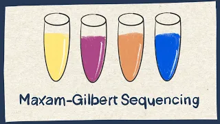 Maxam–Gilbert DNA sequencing - Biology tutorial