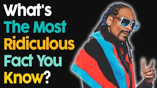 What's The Most Ridiculous Fact You Know?