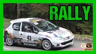 Peugeot 206 RC - Guillaume HARTMANN - RALLY - 2016 - Centre Alsace + Olivier ZEHLER