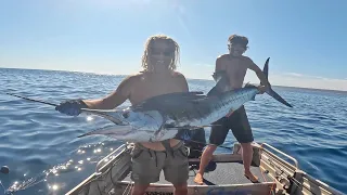 Sail Fish And Whale Sharks Exmouth WA