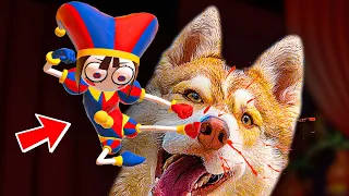 I WAS BEATEN REMEMBER!! We're in a SCARY DIGITAL CIRCUS!! Husky Bagel Talking Dog