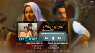 Dhup Lagdi (Slowed+Reverb) Shehnaaz Gill | Sunny Singh | Udaar | Aniket Shukla | Anshul Garg