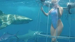 На порноактрису напала акула