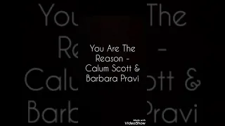 You Are The Reason - Calum Scott & Barbara Pravi (COVER)