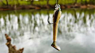 CATCHING BIG PRESPAWN SMALLMOUTH!!! (Bank Fishing)