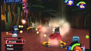 KH1.5 Speedrun Wonderland Evidence