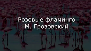 Розовые фламинго. Стихи Михаила Грозовского