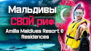 Мальдивы Amilla Maldives Resort & Residences топовый атолл со своим рифом🔥! Amilla Fushi Resort