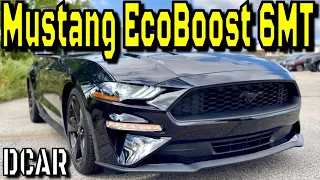 Is the EcoBoost really THAT bad compared to a GT?!? - 2021 Ford Mustang EcoBoost 6MT Review