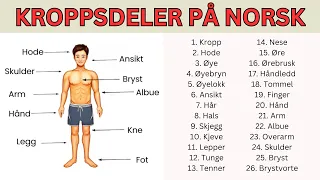 Body parts in Norwegian | Learn Norwegian