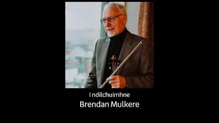 I ndíl chuimhne Brendan Mulkere | Gradam Ceoil TG4 2019