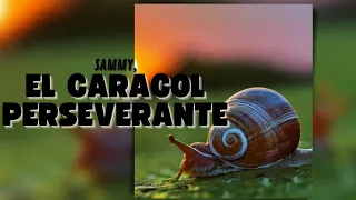 Sammy, El Caracol 🐌 PERSEVERANTE | Cuentos Infantiles Motivaciones 📚