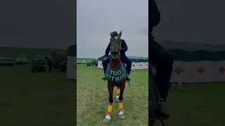 Аттиламен Әлішер мырза🏇