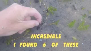 Underwater Searching Million Dollar Resort, Found many Rings (Metal Detecting Legally)