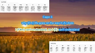 End of the World (capo 3) by Herman's Hermits play along with scrolling guitar chords and lyrics