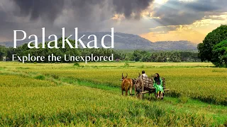 5 Must-Visit Places in Palakkad | Kerala Tourism  #DreamDestinations