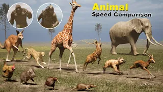 Animal Run Speed Comparison Part 2 | Fastest Animal ,Birds on Land | Godzilla and Kong Speed