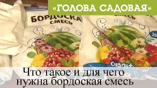 Голова садовая - Что такое и для чего нужна бордоская смесь