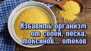 ИЗБАВИТЬСЯ ОТ ОТЁКОВ, ОЧИСТИТЬ ПОЧКИ, МОЧЕПОЛОВУЮ СИСТЕМУ, КРОВЬ