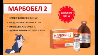 Марбобел 2 - антибактериальный ветеринарный препарат для лечения инфекционных заболеваний.