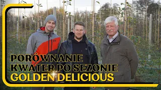 Nawożenie organiczne - czy warto inwestować w żyzność gleby?