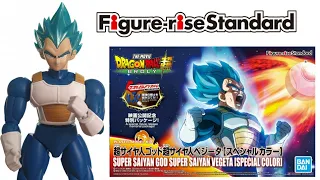 Figure Rise VEGETA Super Sayan God Blue SPECIAL COLOR - Dragon Ball Action Figure Model Kit Review