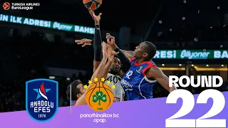 Moerman wins it for Efes! | Round 22, Highlights | Turkish Airlines EuroLeague