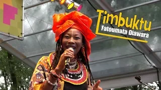 Fatoumata Diawara - Timbuktu - LIVE at Afrikafestival Hertme 2019