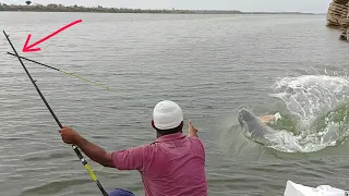 Fish Hunting||Incredible Fish catching||Big Rohu Fish hunting||village fishing ||Rohu FISHING