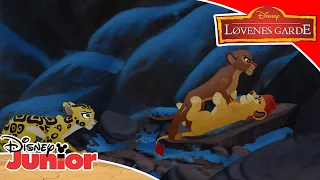 Løvenes Garde | Livets tre 🌴 | Disney Junior Norge