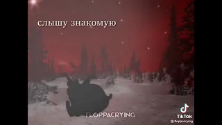 Белая ночь опустилась как облако..... (версия Шлепы) #shorts #ПОДПИШИСЬ