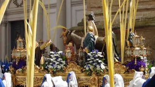 02 Domingo de Ramos - Cofradía de la Entrada de Jesús en Jerusalén -   Semana Santa de Zaragoza 2023