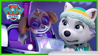 Rettung durch Skye und Everest! - PAW Patrol Germany - Cartoons für Kinder