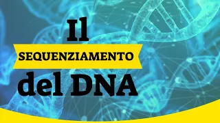 Il sequenziamento del DNA 🧬