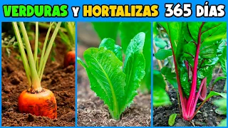 Que VERDURAS se pueden SEMBRAR y CULTIVAR TODO EL AÑO