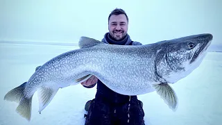 Ice fishing giant lake trout   w/ @staggontheline