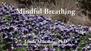 Short Mindful Breathing Exercise