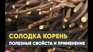 Солодка: лечебные свойства и применение. Признана официальной медициной!