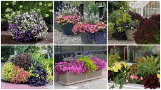 6 Container Combinations to Love! 😍💚🥰 // Garden Answer