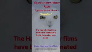 Secret Harry Potter Facts #2