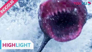 Highlight (Horror Shark) Untuk menangkap Hiu, seorang gadis jadi umpan  | YOUKU [INDO SUB]