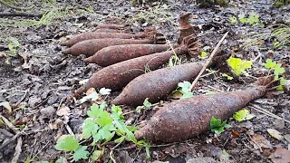 WWII / Раскопки по войне в Демянском котле #64 /  WW2 Excavations in Demyansk