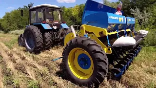 31.07.22 Сівба гороху та покривних культур по пшениці озимій