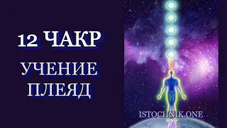 12 чакр | Учение Плеяд