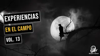 Historias En El Campo Vol. 13 (Relatos De Horror)