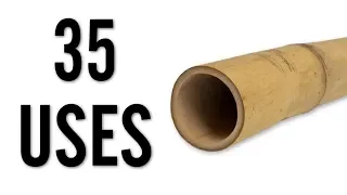 35 Amazing Uses for Bamboo