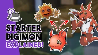 Digimon World: Next Order Starter Choices Explained!