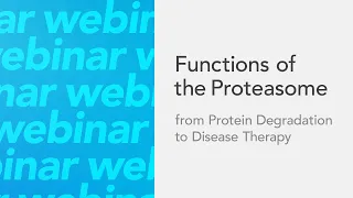Functions of the Proteasome From Protein Degradation to Disease Therapy