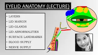 Eyelid Anatomy (Lecture) for both UG & PG students | Oculoplasty