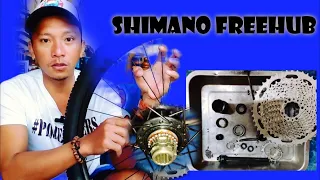 SHIMANO FREEHUB REPACK/OVERHAUL | KALOG NA HUB | NON SERIES FREEHUB | SHIMANO TX505 | ProjecTrebs